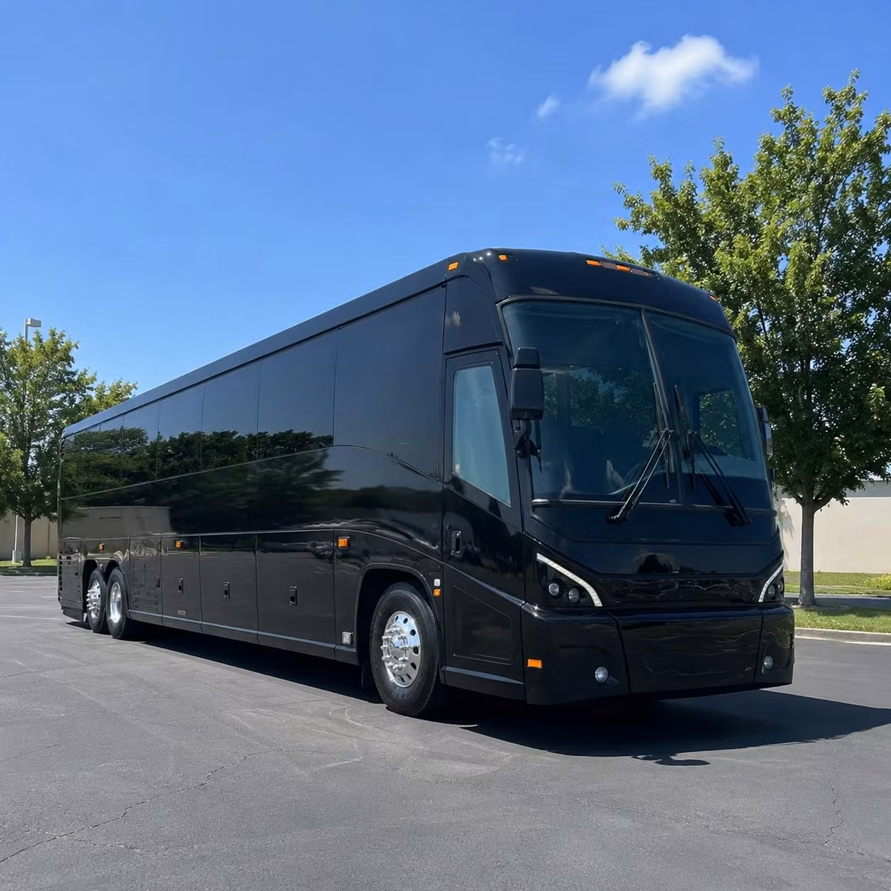 56 passenger charter bus